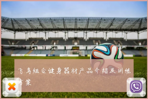 飞鸟组合健身器材产品介绍及训练方案