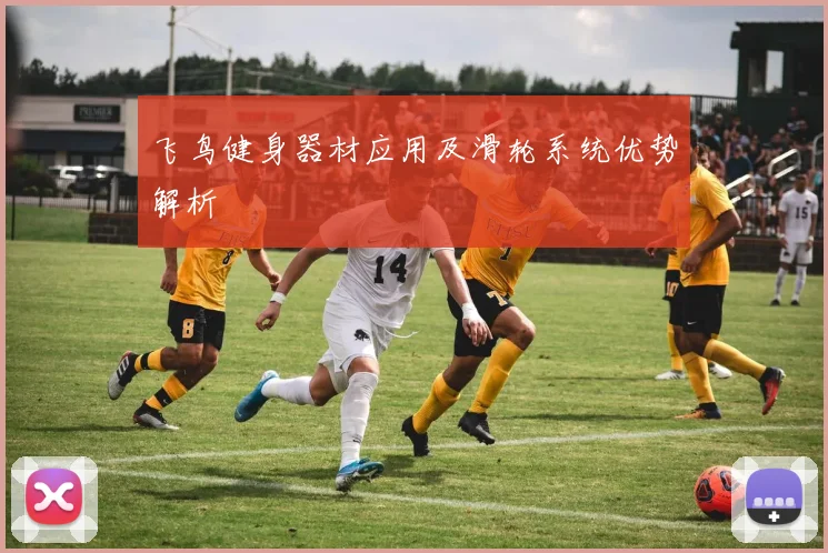 飞鸟健身器材应用及滑轮系统优势解析