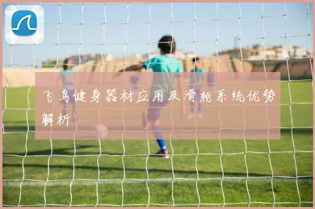 飞鸟健身器材应用及滑轮系统优势解析